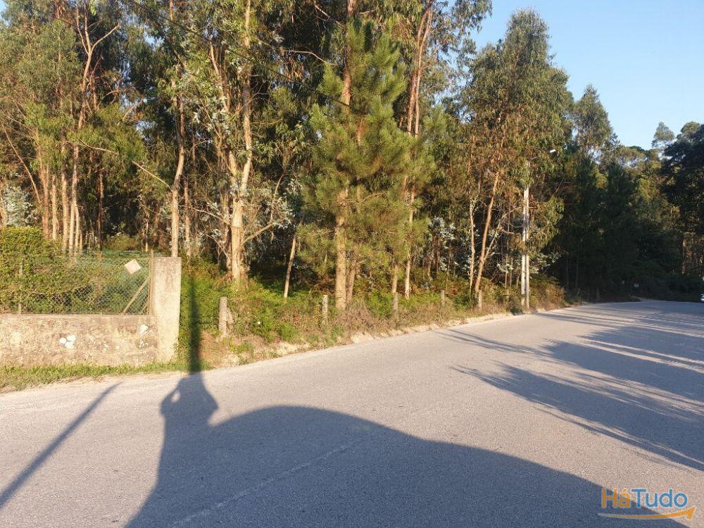 Terreno rústico para venda em Cervães, Vila Verde Terreno rústico para venda em Cervães, Vila Verde