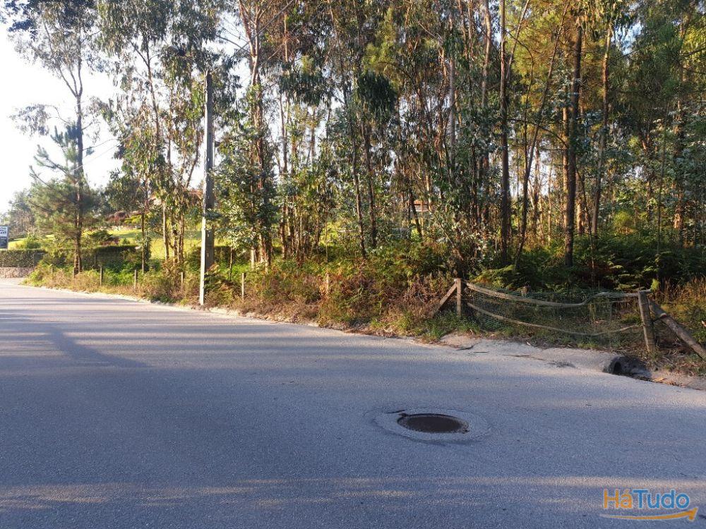 Terreno rústico para venda em Cervães, Vila Verde Terreno rústico para venda em Cervães, Vila Verde