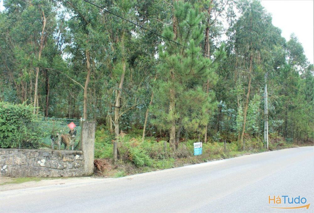 Terreno rústico para venda em Cervães, Vila Verde Terreno rústico para venda em Cervães, Vila Verde