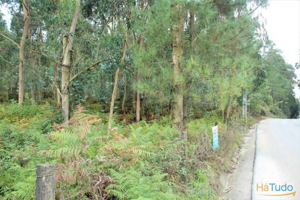 Terreno rústico para venda em Cervães, Vila Verde Terreno rústico para venda em Cervães, Vila Verde