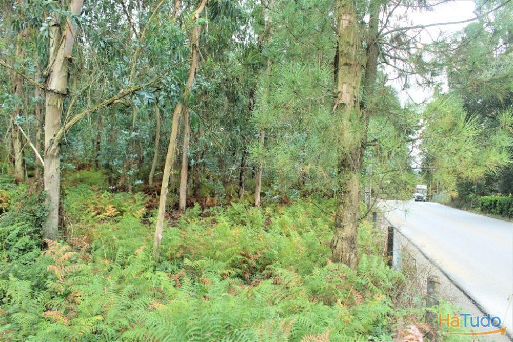 Terreno rústico para venda em Cervães, Vila Verde Terreno rústico para venda em Cervães, Vila Verde