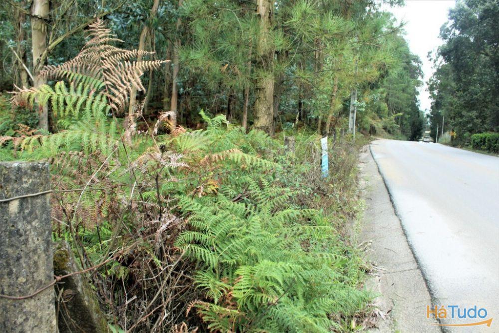 Terreno rústico para venda em Cervães, Vila Verde Terreno rústico para venda em Cervães, Vila Verde