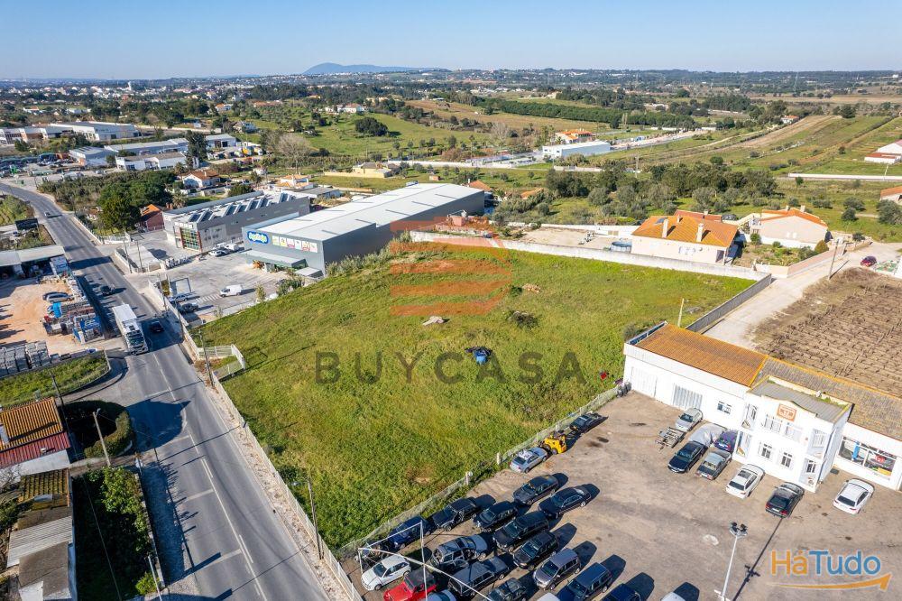 Terreno em Vila Chã de Ourique Terreno em Vila Chã de Ourique