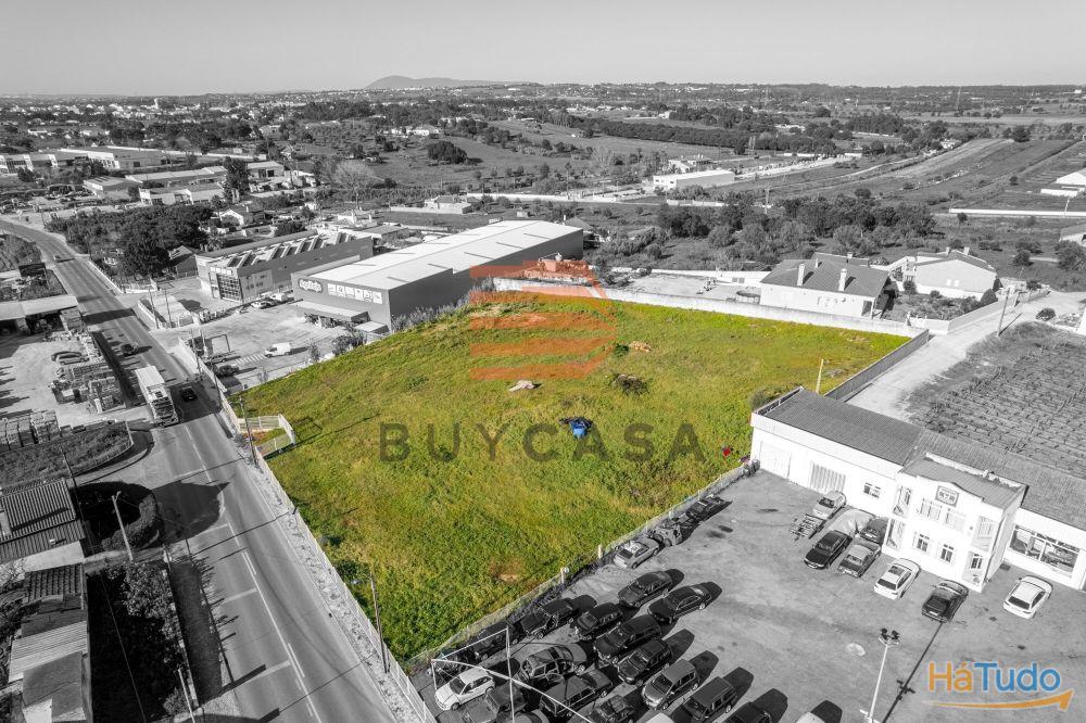 Terreno em Vila Chã de Ourique Terreno em Vila Chã de Ourique