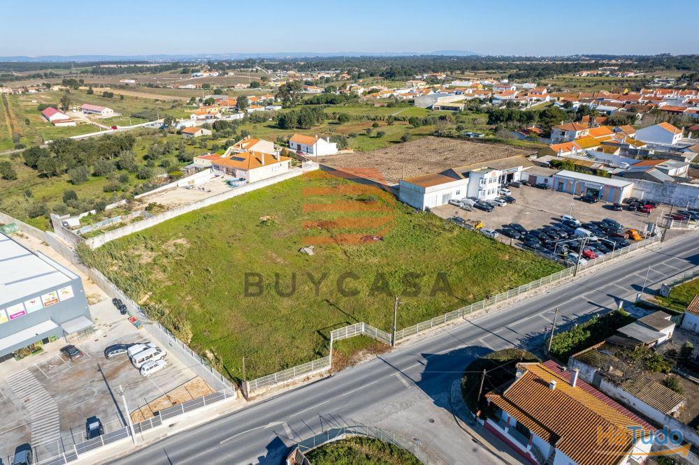 Terreno em Vila Chã de Ourique Terreno em Vila Chã de Ourique