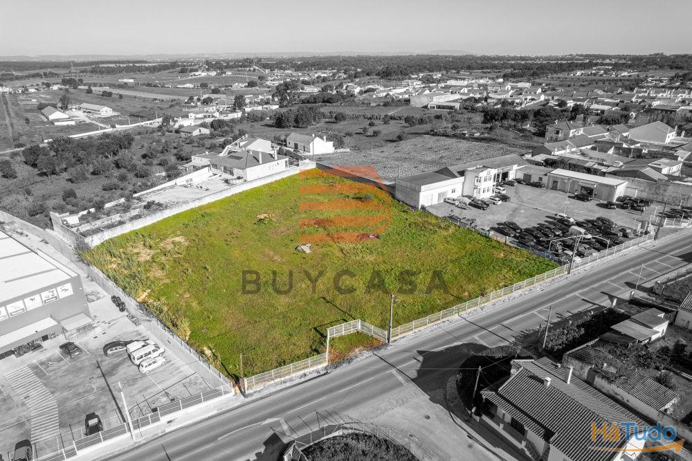 Terreno em Vila Chã de Ourique Terreno em Vila Chã de Ourique