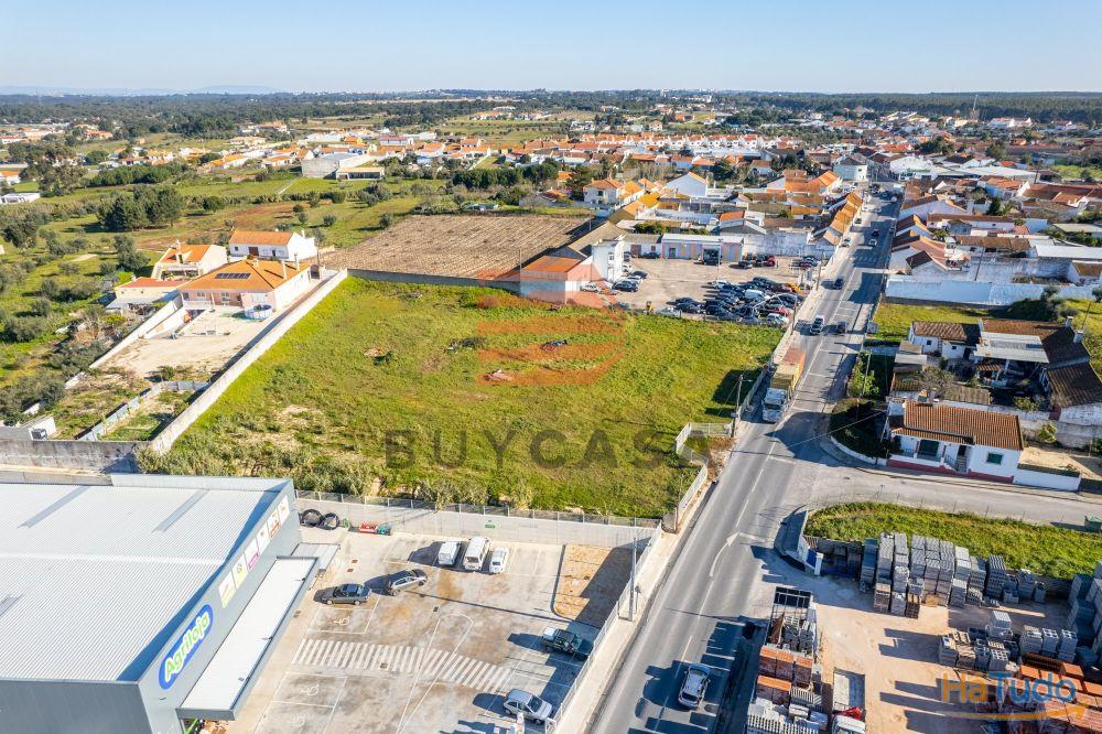 Terreno em Vila Chã de Ourique Terreno em Vila Chã de Ourique