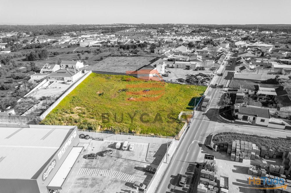 Terreno em Vila Chã de Ourique Terreno em Vila Chã de Ourique