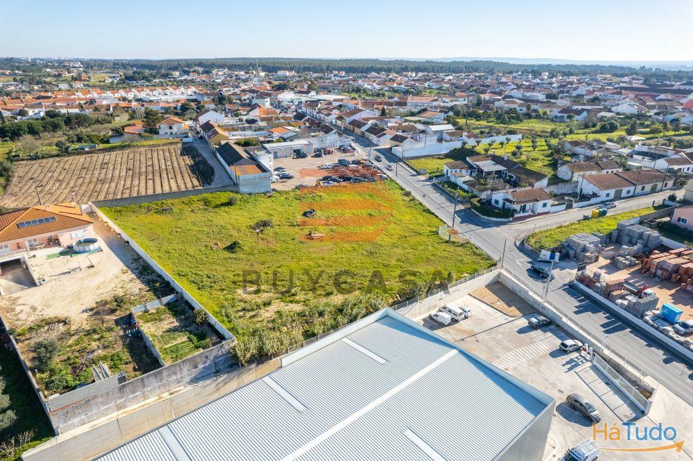 Terreno em Vila Chã de Ourique Terreno em Vila Chã de Ourique