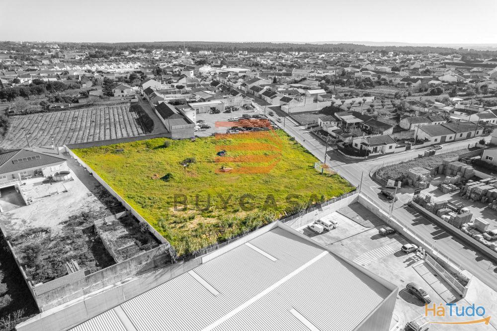 Terreno em Vila Chã de Ourique Terreno em Vila Chã de Ourique