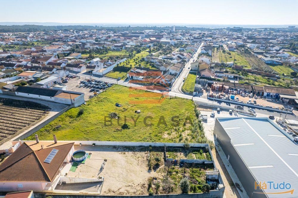 Terreno em Vila Chã de Ourique Terreno em Vila Chã de Ourique
