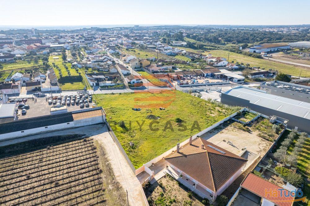 Terreno em Vila Chã de Ourique Terreno em Vila Chã de Ourique