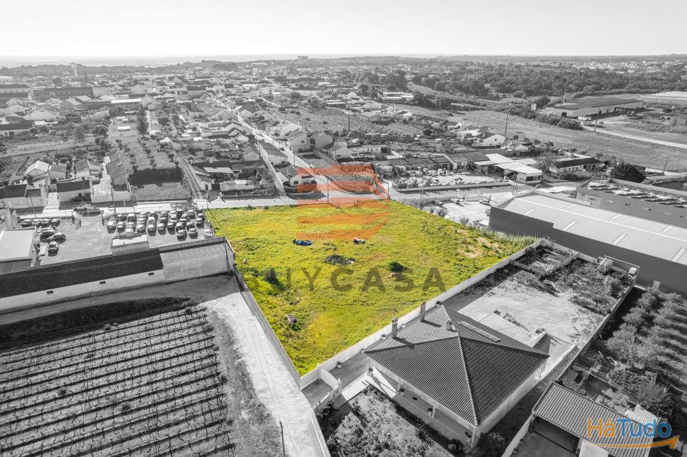 Terreno em Vila Chã de Ourique Terreno em Vila Chã de Ourique