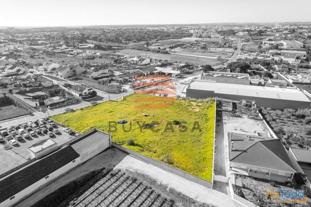 Terreno em Vila Chã de Ourique Terreno em Vila Chã de Ourique