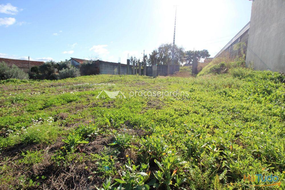 Terreno com 1200m2 Terreno com 1200m2