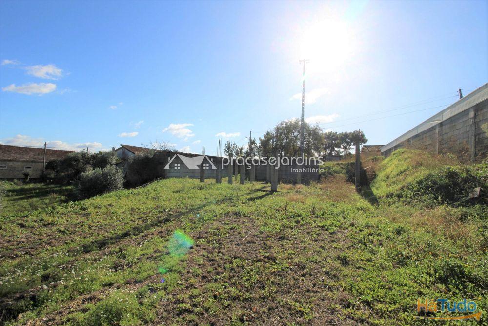 Terreno com 1200m2 Terreno com 1200m2