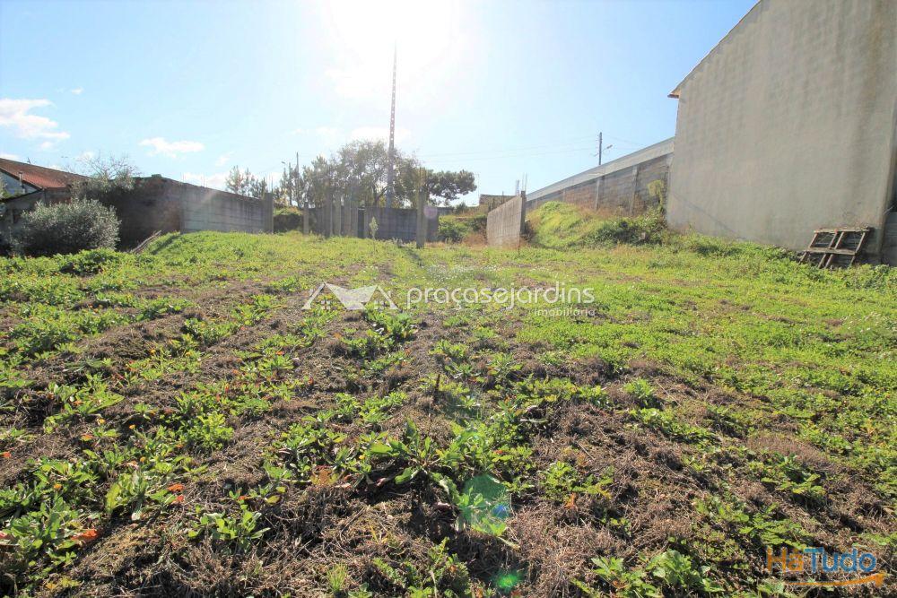 Terreno com 1200m2 Terreno com 1200m2
