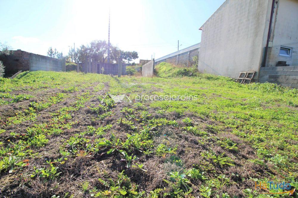 Terreno com 1200m2 Terreno com 1200m2