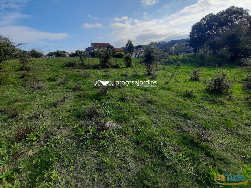 Terreno com 3258 m² Terreno com 3258 m²