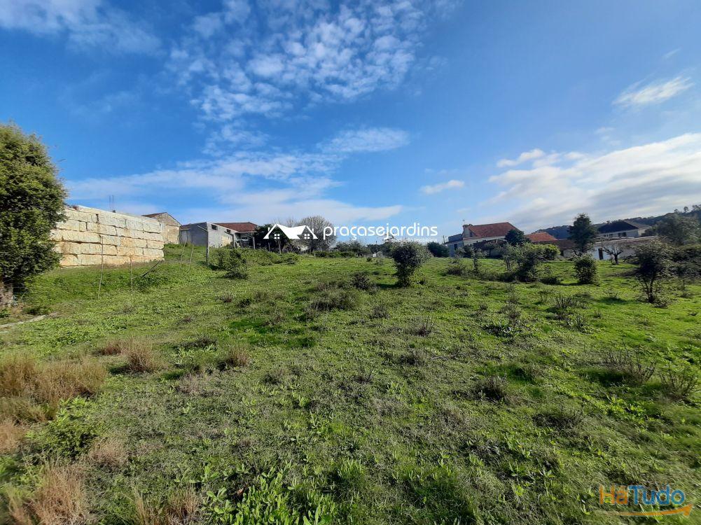 Terreno com 3258 m² Terreno com 3258 m²