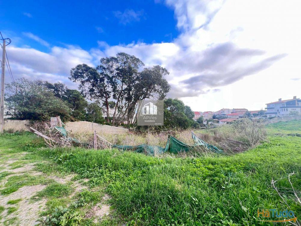 Terreno Rstico em fase de Urbanizao