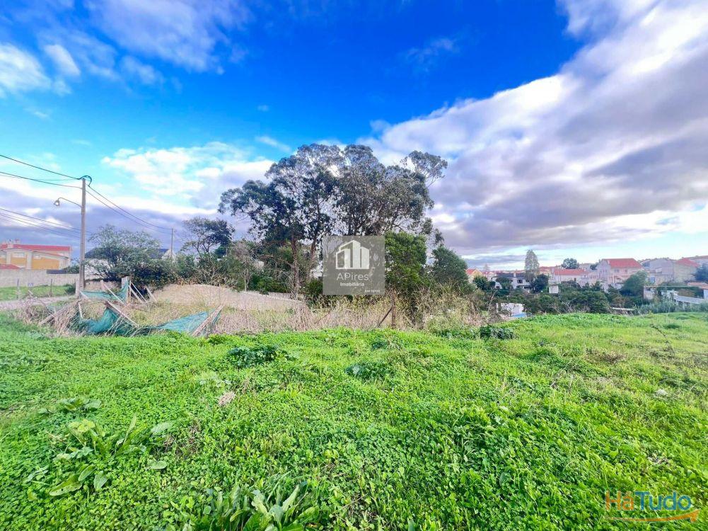 Terreno Rstico em fase de Urbanizao