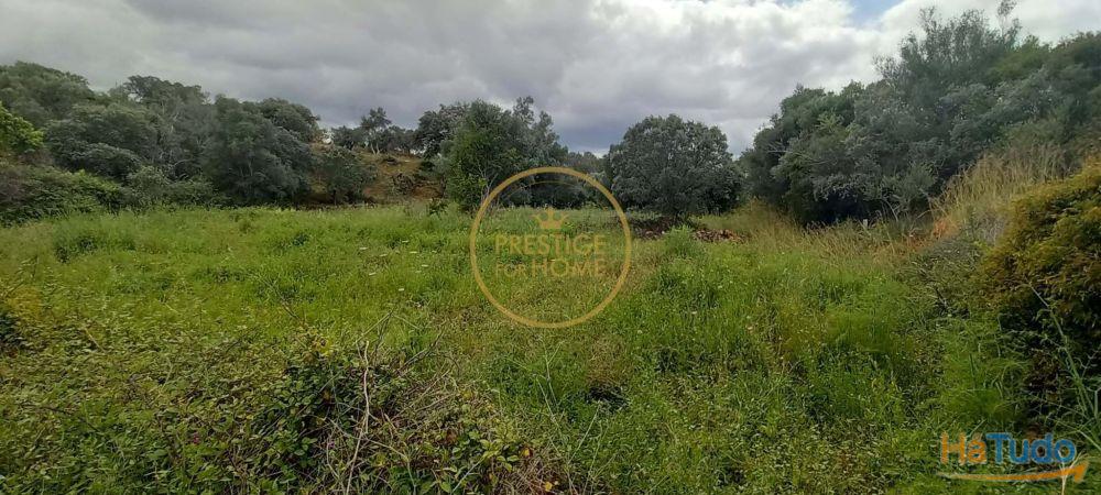 Você está procurando um lugar para construir seu sonho ou investir em uma oportunidade única? Temos a solução perfeita para você! Oferecemos um terreno rústico de 940 metros quadrados que atende a todas as suas necessidades e expectativas! Você está procurando um lugar para construir seu sonho ou investir em uma oportunidade única? Temos a solução perfeita para você! Oferecemos um terreno rústico de 940 metros quadrados que atende a todas as suas necessidades e expectativas!
