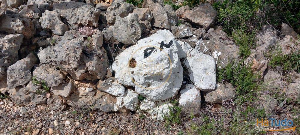 Você está procurando um lugar para construir seu sonho ou investir em uma oportunidade única? Temos a solução perfeita para você! Oferecemos um terreno rústico de 940 metros quadrados que atende a todas as suas necessidades e expectativas! Você está procurando um lugar para construir seu sonho ou investir em uma oportunidade única? Temos a solução perfeita para você! Oferecemos um terreno rústico de 940 metros quadrados que atende a todas as suas necessidades e expectativas!