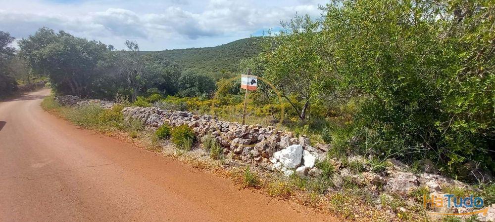 Você está procurando um lugar para construir seu sonho ou investir em uma oportunidade única? Temos a solução perfeita para você! Oferecemos um terreno rústico de 940 metros quadrados que atende a todas as suas necessidades e expectativas! Você está procurando um lugar para construir seu sonho ou investir em uma oportunidade única? Temos a solução perfeita para você! Oferecemos um terreno rústico de 940 metros quadrados que atende a todas as suas necessidades e expectativas!