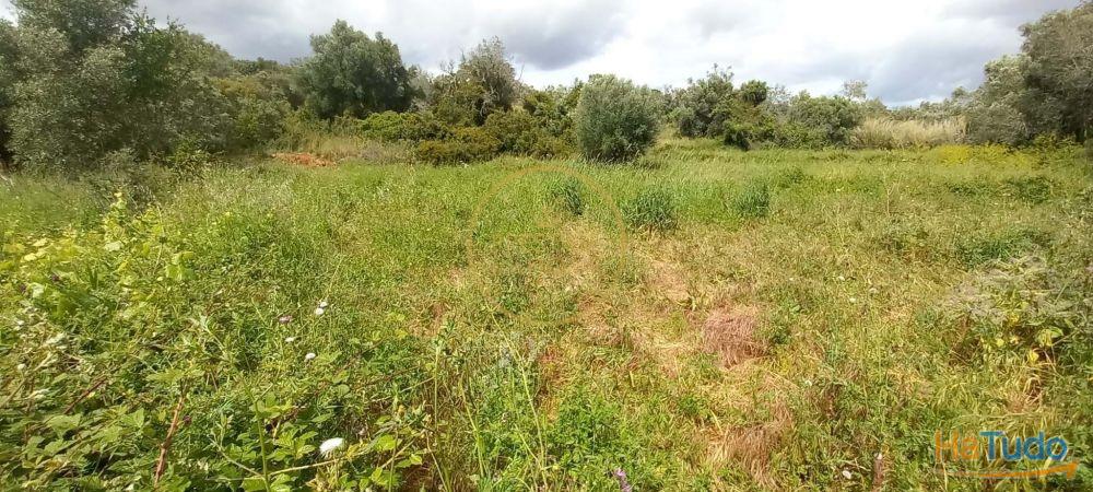 Você está procurando um lugar para construir seu sonho ou investir em uma oportunidade única? Temos a solução perfeita para você! Oferecemos um terreno rústico de 940 metros quadrados que atende a todas as suas necessidades e expectativas! Você está procurando um lugar para construir seu sonho ou investir em uma oportunidade única? Temos a solução perfeita para você! Oferecemos um terreno rústico de 940 metros quadrados que atende a todas as suas necessidades e expectativas!