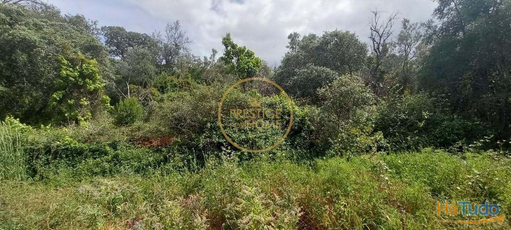 Você está procurando um lugar para construir seu sonho ou investir em uma oportunidade única? Temos a solução perfeita para você! Oferecemos um terreno rústico de 940 metros quadrados que atende a todas as suas necessidades e expectativas! Você está procurando um lugar para construir seu sonho ou investir em uma oportunidade única? Temos a solução perfeita para você! Oferecemos um terreno rústico de 940 metros quadrados que atende a todas as suas necessidades e expectativas!