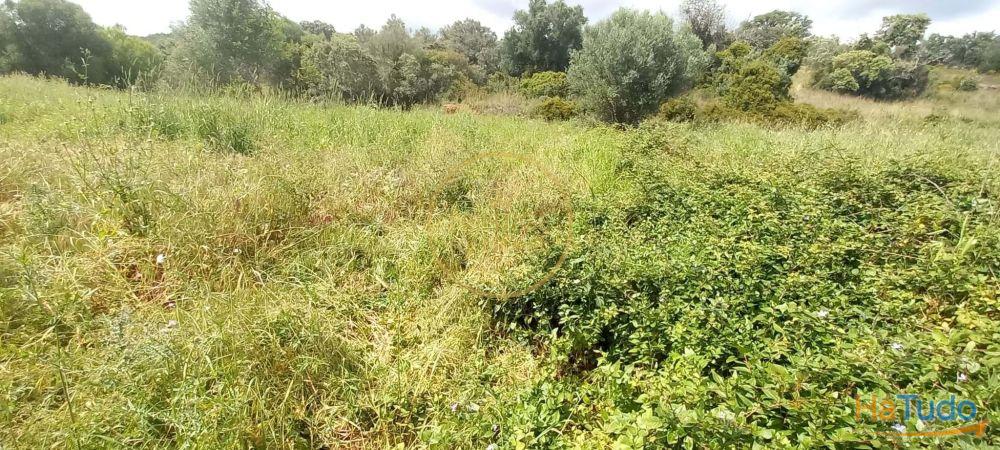 Você está procurando um lugar para construir seu sonho ou investir em uma oportunidade única? Temos a solução perfeita para você! Oferecemos um terreno rústico de 940 metros quadrados que atende a todas as suas necessidades e expectativas! Você está procurando um lugar para construir seu sonho ou investir em uma oportunidade única? Temos a solução perfeita para você! Oferecemos um terreno rústico de 940 metros quadrados que atende a todas as suas necessidades e expectativas!