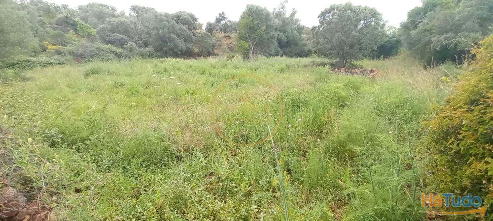 Você está procurando um lugar para construir seu sonho ou investir em uma oportunidade única? Temos a solução perfeita para você! Oferecemos um terreno rústico de 940 metros quadrados que atende a todas as suas necessidades e expectativas! Você está procurando um lugar para construir seu sonho ou investir em uma oportunidade única? Temos a solução perfeita para você! Oferecemos um terreno rústico de 940 metros quadrados que atende a todas as suas necessidades e expectativas!