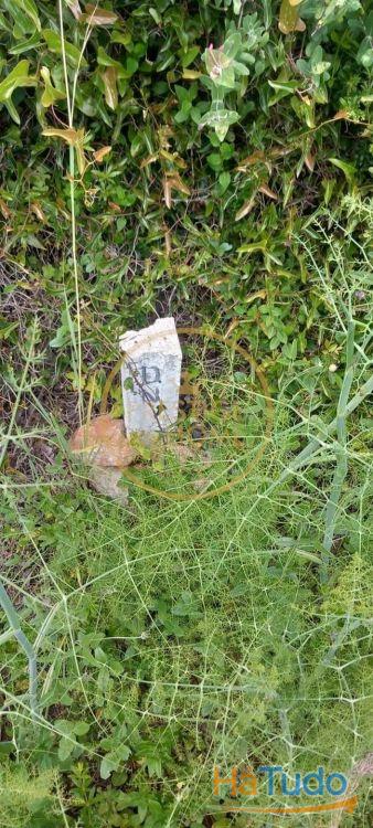 Você está procurando um lugar para construir seu sonho ou investir em uma oportunidade única? Temos a solução perfeita para você! Oferecemos um terreno rústico de 940 metros quadrados que atende a todas as suas necessidades e expectativas! Você está procurando um lugar para construir seu sonho ou investir em uma oportunidade única? Temos a solução perfeita para você! Oferecemos um terreno rústico de 940 metros quadrados que atende a todas as suas necessidades e expectativas!