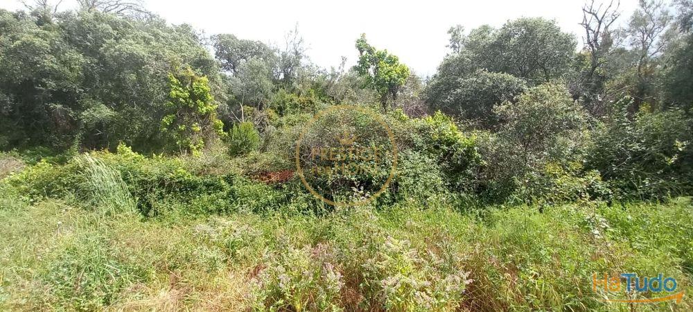 Você está procurando um lugar para construir seu sonho ou investir em uma oportunidade única? Temos a solução perfeita para você! Oferecemos um terreno rústico de 940 metros quadrados que atende a todas as suas necessidades e expectativas! Você está procurando um lugar para construir seu sonho ou investir em uma oportunidade única? Temos a solução perfeita para você! Oferecemos um terreno rústico de 940 metros quadrados que atende a todas as suas necessidades e expectativas!