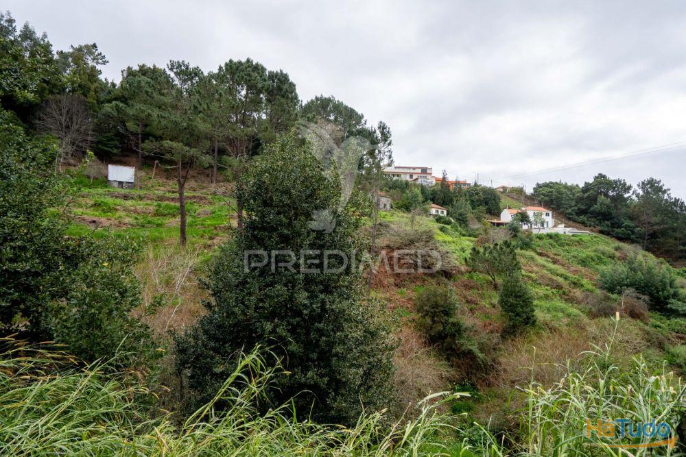 Terreno com palheiro no Santo da Serra Santa Cruz Ilha da Madeira