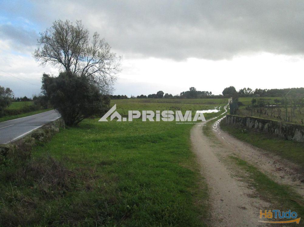 Terreno R�stico � Venda na Lardosa