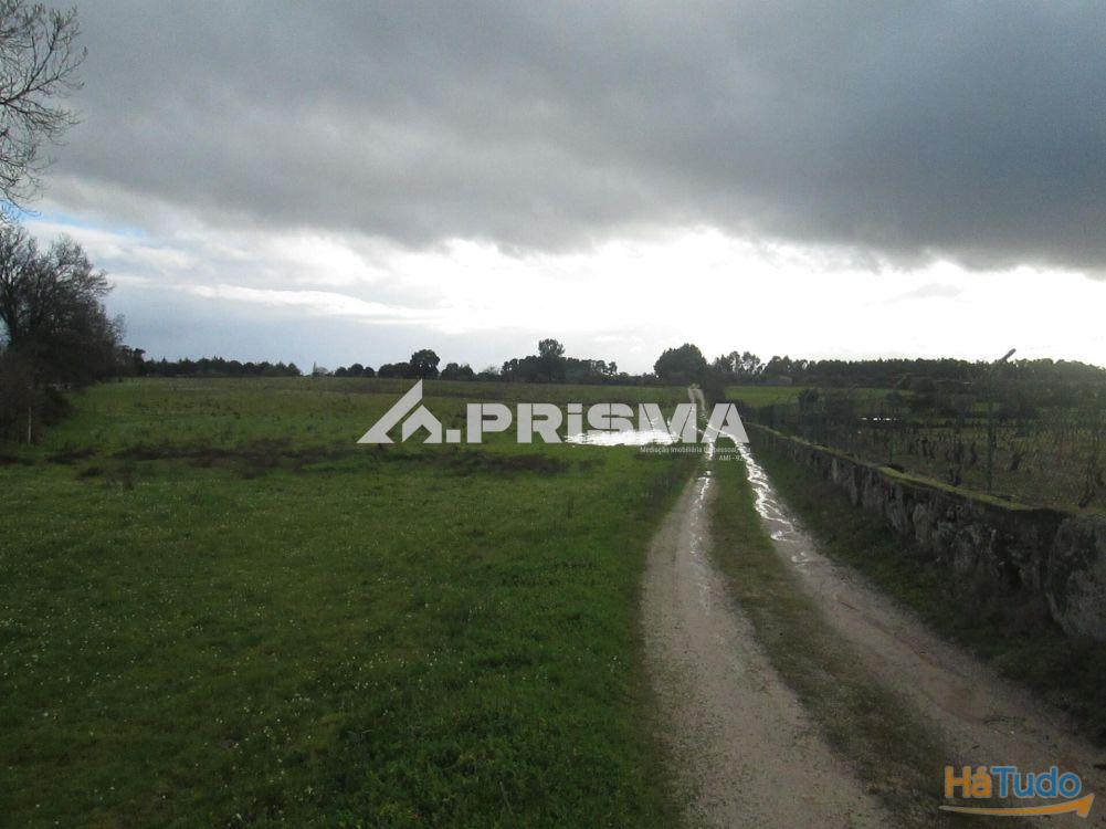 Terreno R�stico � Venda na Lardosa