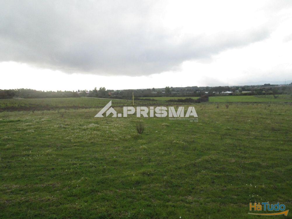 Terreno R�stico � Venda na Lardosa