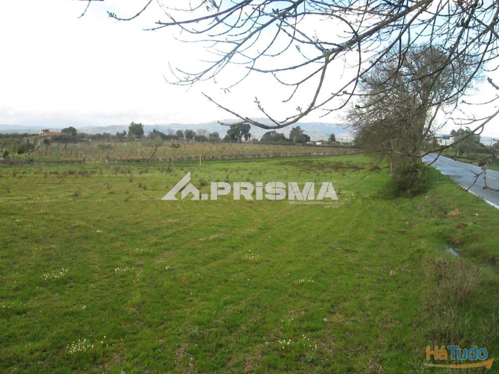 Terreno R�stico � Venda na Lardosa