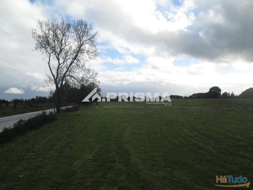 Terreno R�stico � Venda na Lardosa