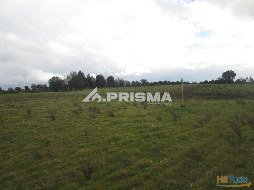 Terreno R�stico � Venda na Lardosa
