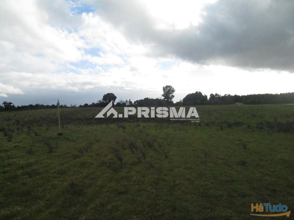 Terreno R�stico � Venda na Lardosa