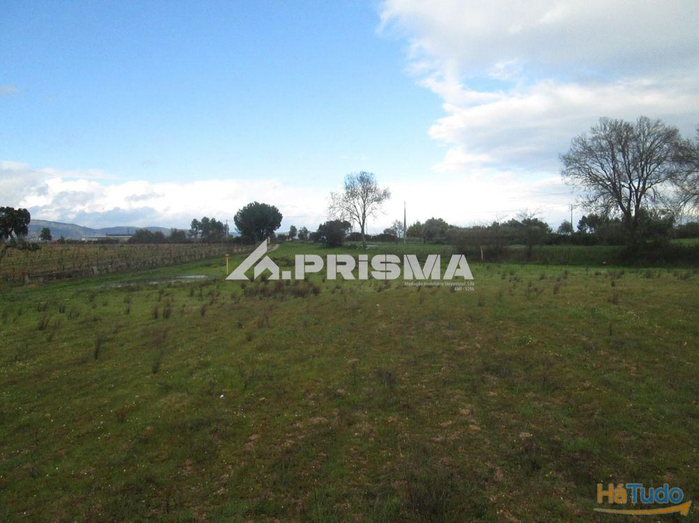 Terreno R�stico � Venda na Lardosa