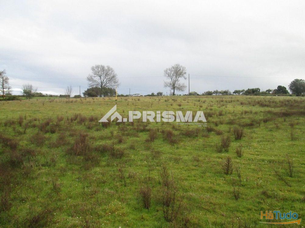 Terreno R�stico � Venda na Lardosa