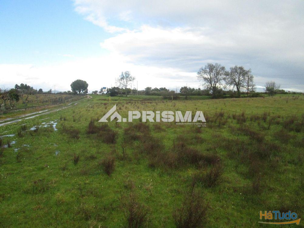 Terreno R�stico � Venda na Lardosa