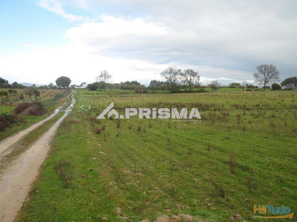 Terreno R�stico � Venda na Lardosa