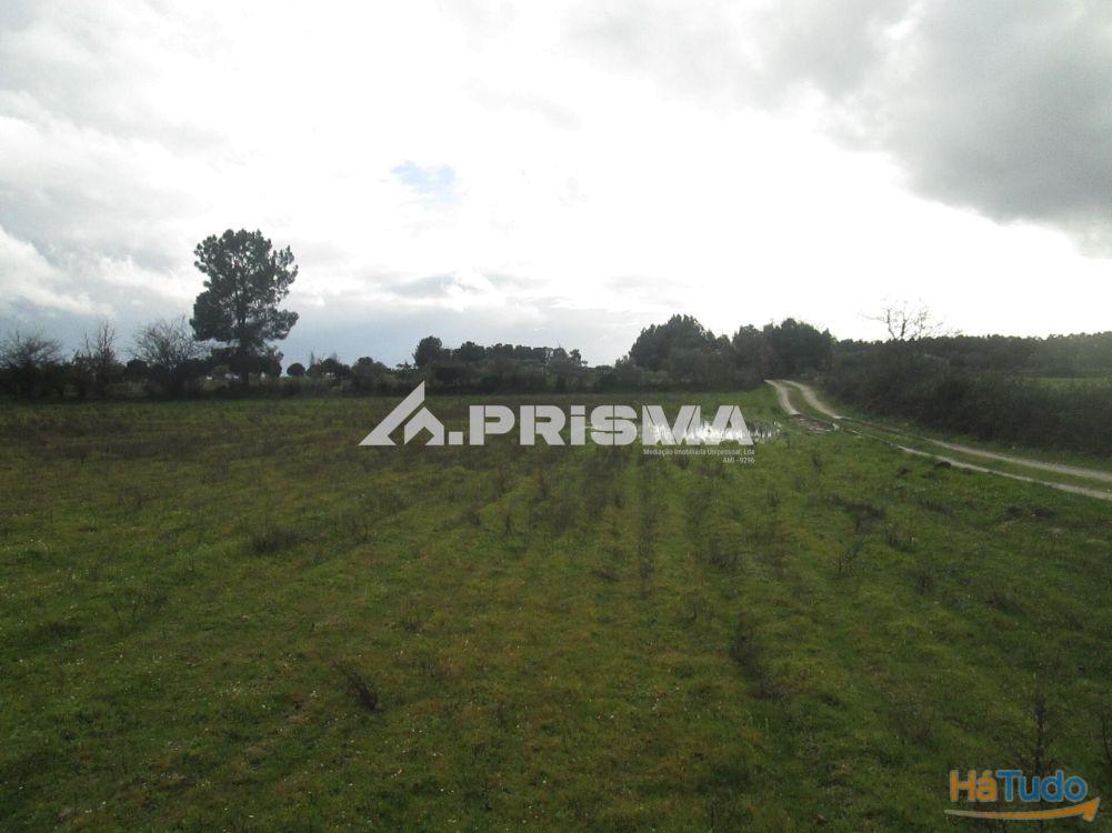 Terreno R�stico � Venda na Lardosa