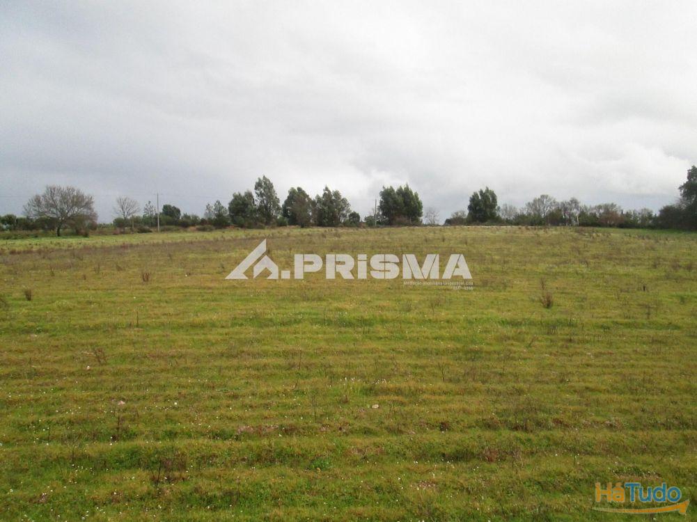Terreno R�stico � Venda na Lardosa