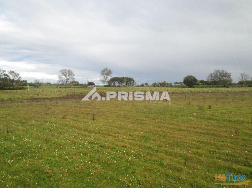 Terreno R�stico � Venda na Lardosa